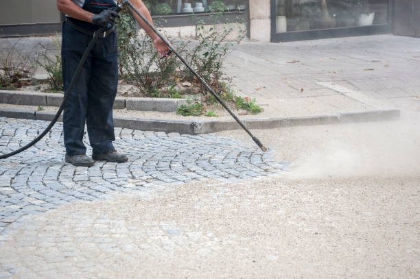 Best Sidewalk and Walkway Cleaning  in South Dennis, NJ