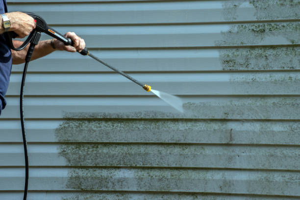 Best Driveway Pressure Washing  in South Dennis, NJ